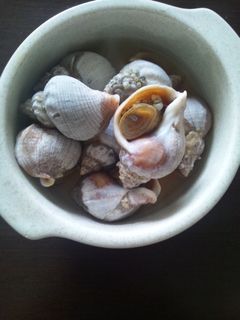 磯ツブの煮物-レシピのメイン写真