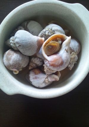 磯ツブの煮物-レシピのメイン写真