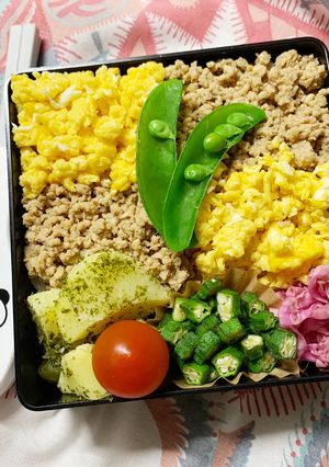 4/7ﾖｯﾁｬﾝ☆鶏そぼろ弁当-レシピのメイン写真