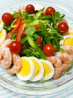 夏☆豆苗とアスパラのサラダ-レシピのメイン写真