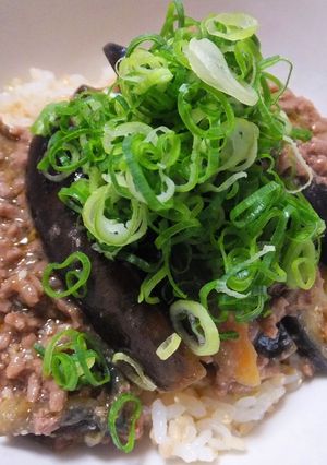 簡単☆麻婆茄子丼-レシピのメイン写真