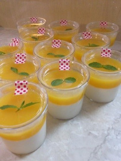ヨーグルトなのに濃厚レアチーズケーキ-レシピのメイン写真