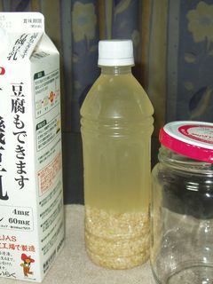 玄米乳酸菌の作り方-レシピのメイン写真
