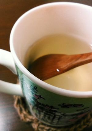 何の変哲もないはちみつレモン-レシピのメイン写真
