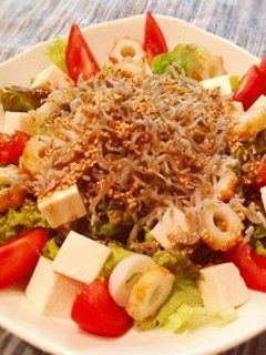 栄養たっぷり☆じゃこと豆腐のサラダ-レシピのメイン写真
