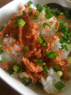 ずぼら飯(鮭フレーク)-レシピのメイン写真