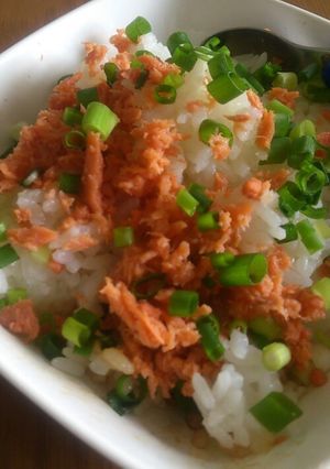 ずぼら飯(鮭フレーク)-レシピのメイン写真