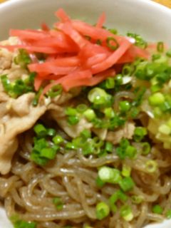 牛丼?豚丼? 糸こんにゃく丼!!-レシピのメイン写真