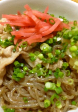 牛丼？豚丼？　糸こんにゃく丼！！-レシピのメイン写真