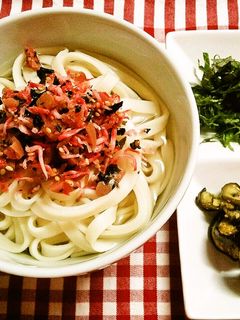 簡単☆梅ちりめんで冷やしうどん-レシピのメイン写真