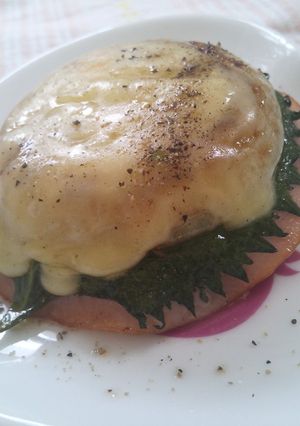 新玉ねぎＯＮチーズ！ハンバーガー風★-レシピのメイン写真
