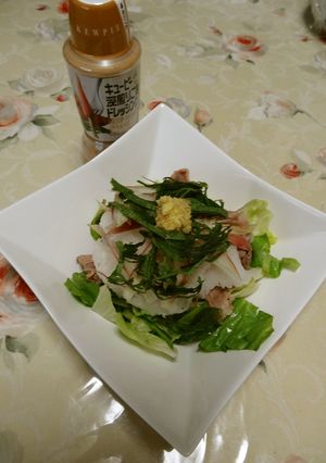 牛肉のおろしサラダ-レシピのメイン写真