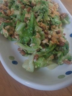 納豆とキャベツの卵炒め-レシピのメイン写真