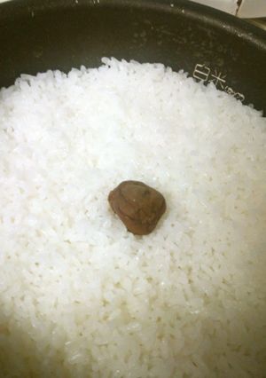 梅干入りで保存力ＵＰ♪白ご飯-レシピのメイン写真