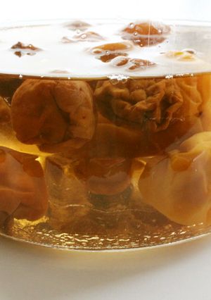 夏に♪冷凍していない完熟梅de梅シロップ-レシピのメイン写真