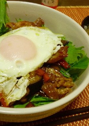 茄子と豚肉のスタミナ丼-レシピのメイン写真