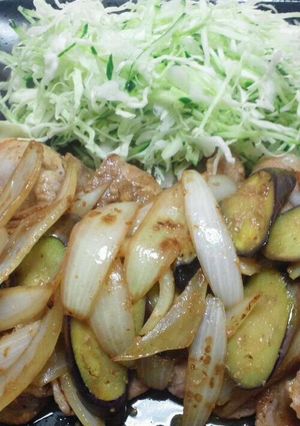 とっても簡単豚肉の塩麹焼き-レシピのメイン写真