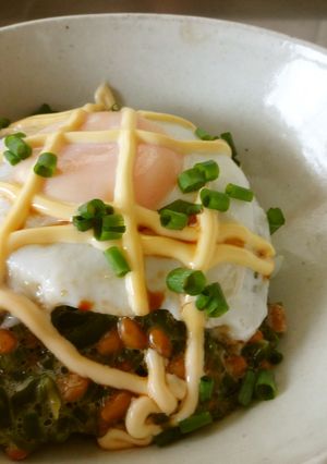 めかぶと納豆丼-レシピのメイン写真