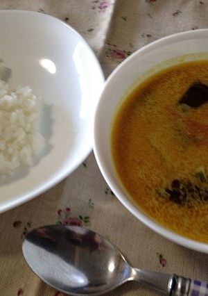 お手軽☆ひき肉と夏野菜のスーブカレー-レシピのメイン写真