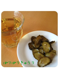 パリパリキュウリ-レシピのメイン写真