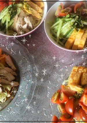 のっけ盛り冷やし中華-レシピのメイン写真