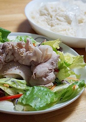 10品目の冷しゃぶサラダ・そーめんと共に-レシピのメイン写真