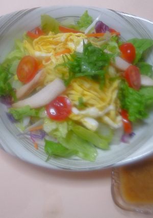 10種のサラダ中華冷麺-レシピのメイン写真