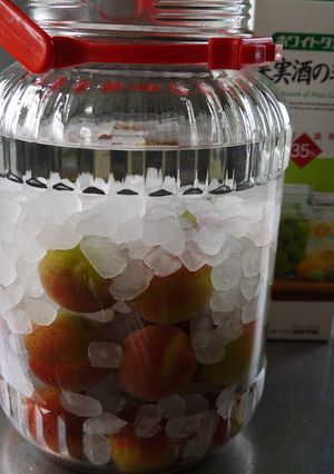 ほんのり赤い梅酒-レシピのメイン写真