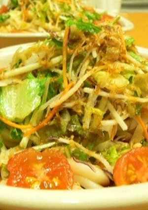 10分で完成★さっぱりサラダうどん-レシピのメイン写真
