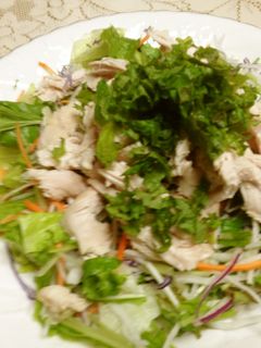 チキンサラダ-レシピのメイン写真