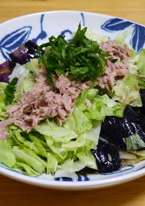 夏にぴったり！なすのレタス載せ-レシピのメイン写真