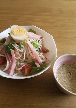 野菜たっぷりサラダゴマうどん-レシピのメイン写真