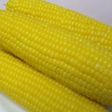 トウモロコシの茹で方