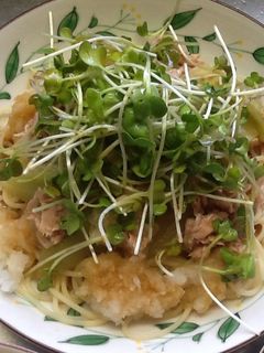 ツナとおろしで冷製パスタ-レシピのメイン写真