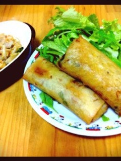 スタミナ揚げ春巻-レシピのメイン写真