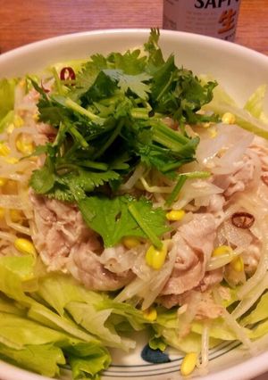 タイ風☆豚しゃぶサラダ-レシピのメイン写真