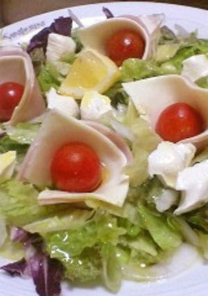 パケサラで★あり合わせイタリアンサラダ-レシピのメイン写真
