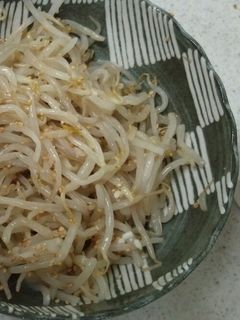 塩麹でもやしのナムル-レシピのメイン写真