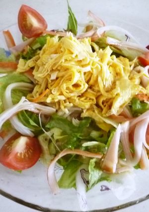 サラダクラブで冷麺サラダ-レシピのメイン写真