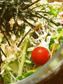 ♡たっぷり野菜乗せサラダうどん♡-レシピのメイン写真