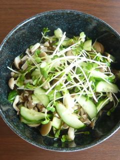 さっぱりもずくの和え物-レシピのメイン写真