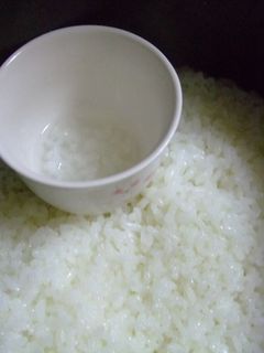 炊飯器すりつぶし10倍粥*離乳食1日目〜-レシピのメイン写真