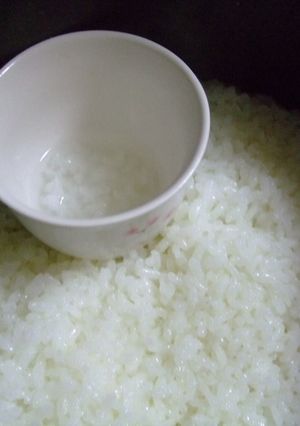 炊飯器すりつぶし10倍粥＊離乳食１日目〜-レシピのメイン写真