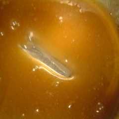 รูปของ ＊サトワカレシピの基本＊
