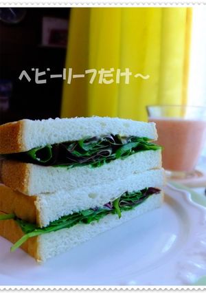 ﾍﾞﾋﾞｰﾘｰﾌだけ～～サンド-レシピのメイン写真
