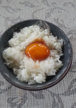 卵黄ごはん-レシピのメイン写真