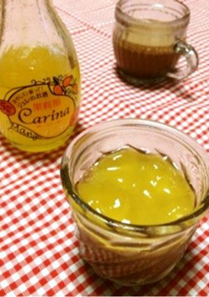 大人の♡チョコムース〜マンゴージュレ〜-レシピのメイン写真