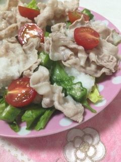 絶品!夏バテ解消冷しゃぶサラダ-レシピのメイン写真