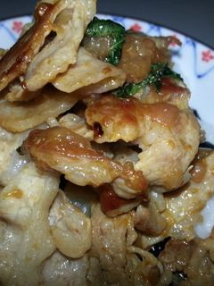 豚の梅炒め丼-レシピのメイン写真