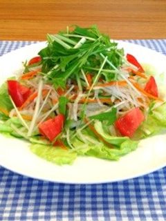水菜と千切り野菜のサラダ-レシピのメイン写真